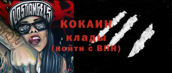 ECSTASY Алзамай