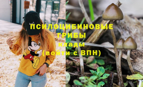 ECSTASY Алзамай