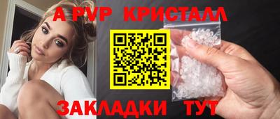 стафф Кингисепп