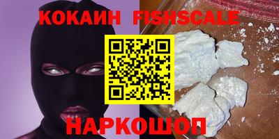 стафф Кингисепп