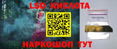 стафф Кингисепп