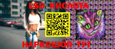 стафф Кингисепп