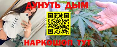 стафф Кингисепп