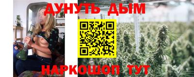 стафф Кингисепп