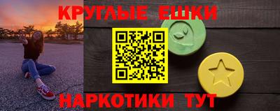 стафф Кингисепп