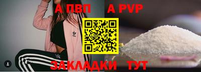 стафф Кингисепп
