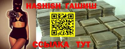 стафф Кингисепп