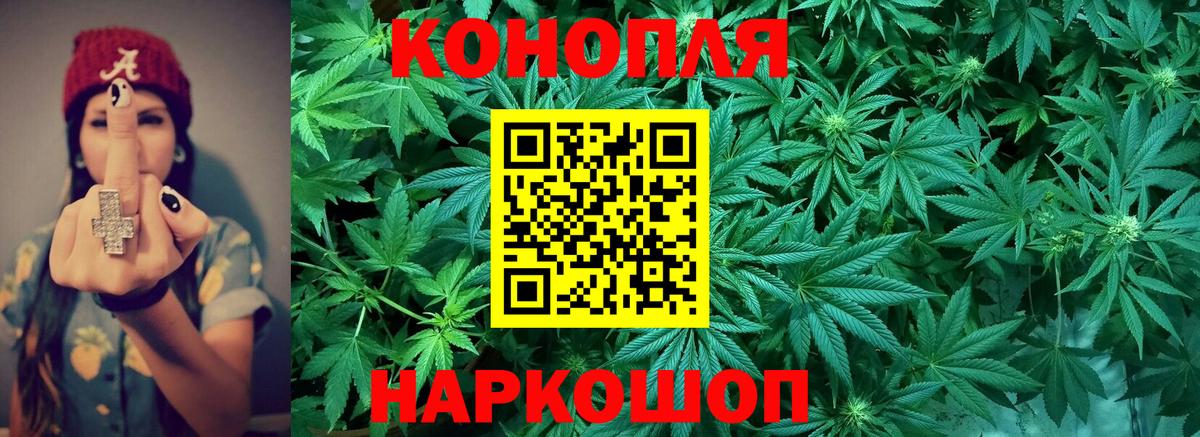 Бошки Шишки VHQ Магадан